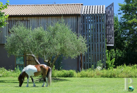 A contemporary villa close to the sea, north of Pisa in Tuscany - photo  n°2